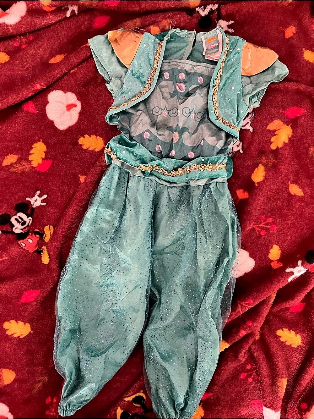 Nickelodeon Shimmer and Shine Genie Costume Green & Pink Girls 3T-4T